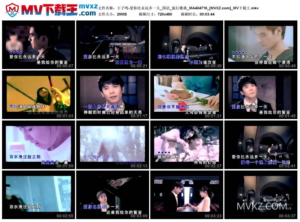 王子鸣-爱你比永远多一天_国语_流行歌曲_MA404716